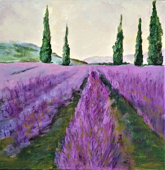 Lavender Fields